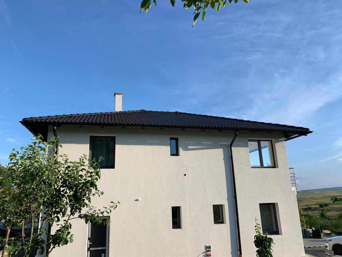 فيلا Viktoria House أودورهيو سيكيوسك المظهر الخارجي الصورة