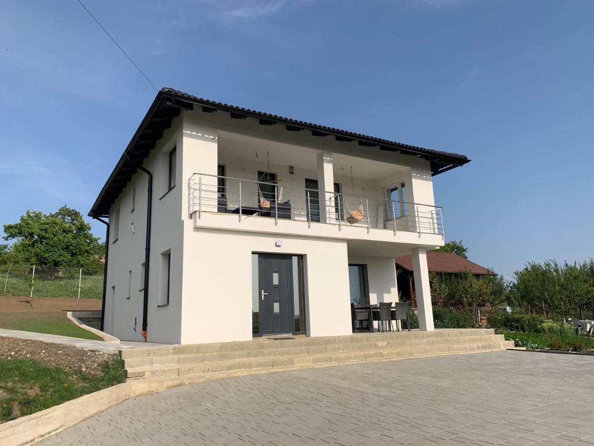 فيلا Viktoria House أودورهيو سيكيوسك المظهر الخارجي الصورة