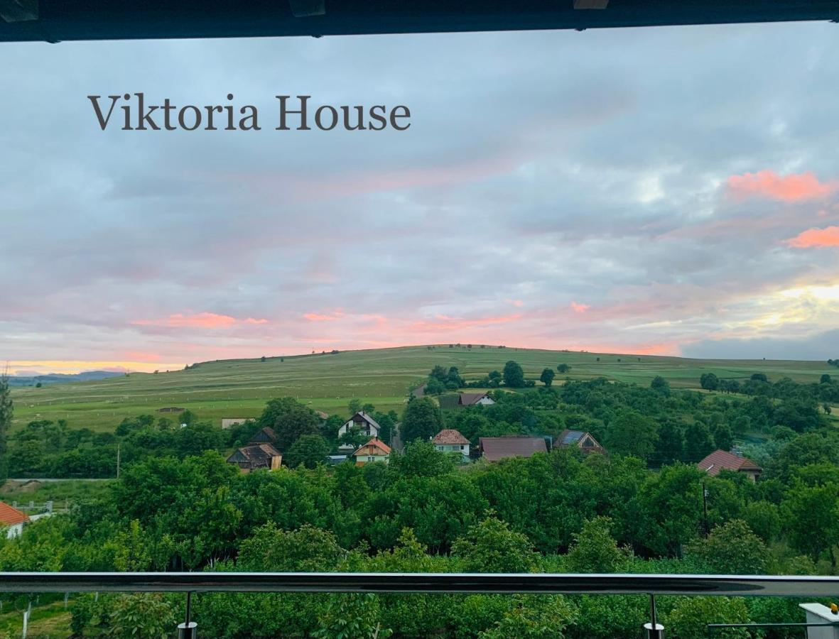 فيلا Viktoria House أودورهيو سيكيوسك المظهر الخارجي الصورة