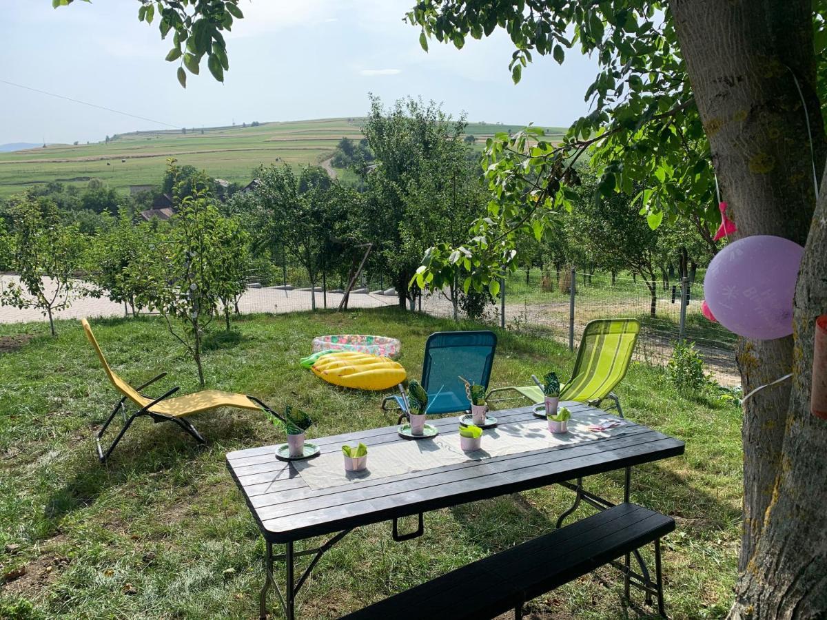 فيلا Viktoria House أودورهيو سيكيوسك المظهر الخارجي الصورة