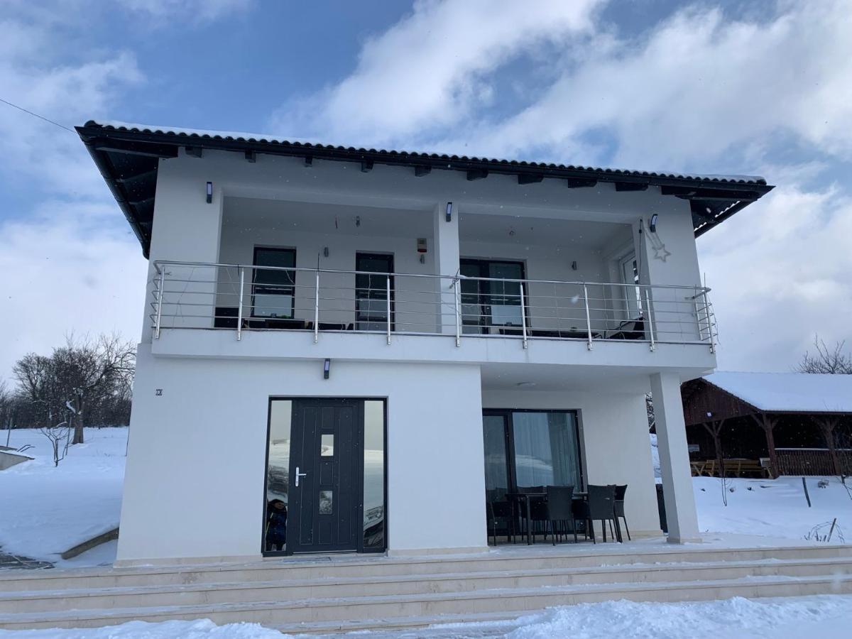 فيلا Viktoria House أودورهيو سيكيوسك المظهر الخارجي الصورة